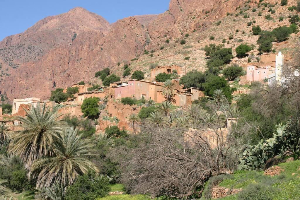 Riad Nadara, Superbe Riad Au Coeur De La Medina! Marrakesh Eksteriør bilde