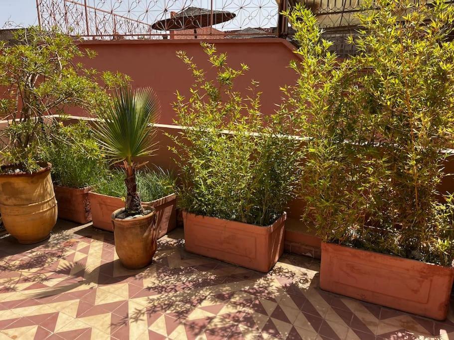 Riad Nadara, Superbe Riad Au Coeur De La Medina! Marrakesh Eksteriør bilde